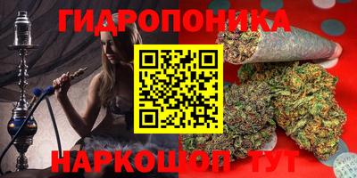 шишки Берёзовский