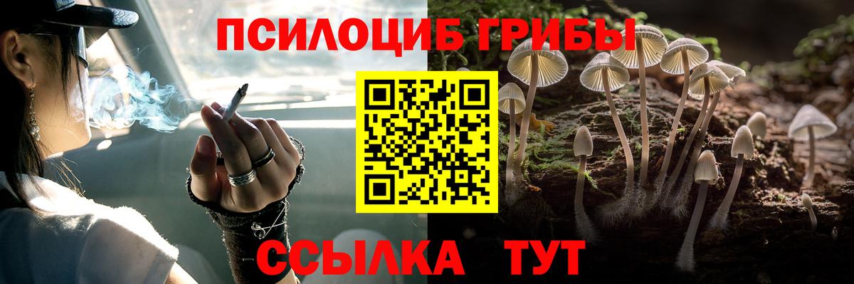 Ковров  хочу наркоту  Вход с VPN  Псилоцибиновые грибы прущие грибы 