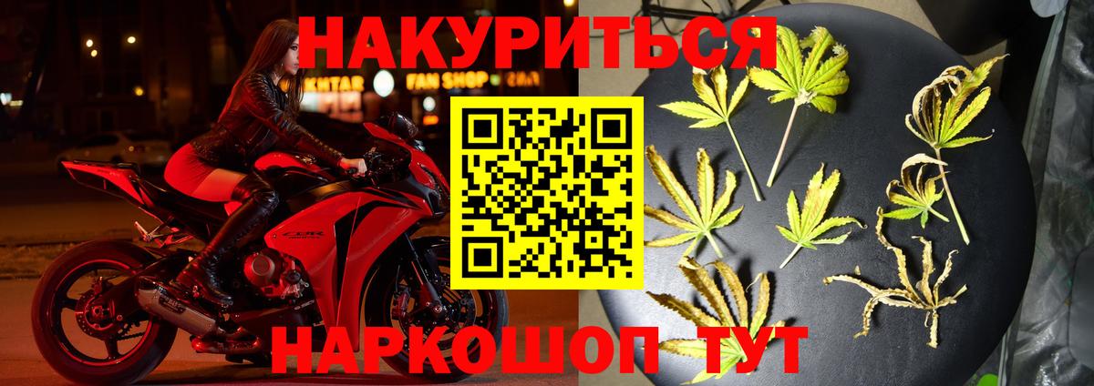 Конопля индика Ковров